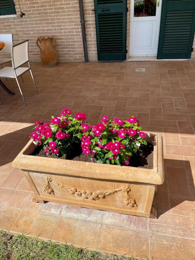 Ferienwohnung La Posta Di Bacco Gualdo Cattaneo Exterior foto